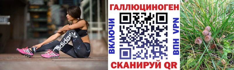 Купить где  Батайск  Галлюциногенные грибы MAGIC MUSHROOMS 